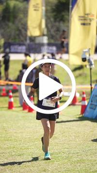 BIB:  <button type="button" onclick="openModal(26586653)" class="btn btn-primary btn-sm float-right" data-toggle="modal" data-target=".modal-high-quality">
                <i class="fa fa-download"></i> Download
                </button>